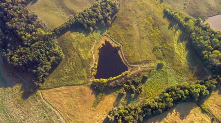 Farm For Sale - image 41