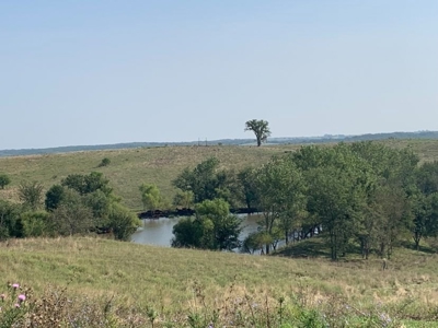 Farm For Sale - image 18