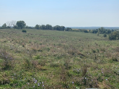 Farm For Sale - image 17