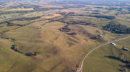 Farm For Sale - image 39