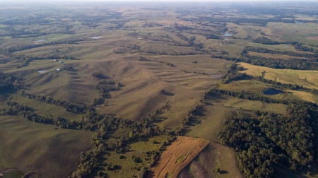 Farm For Sale - image 47