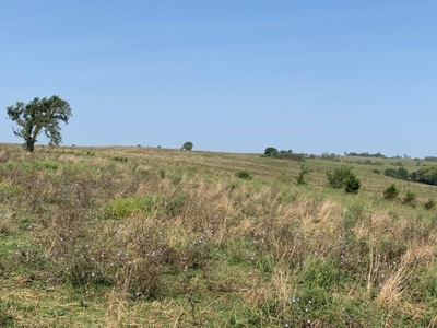 Farm For Sale - image 2