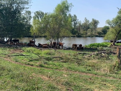 Farm For Sale - image 12