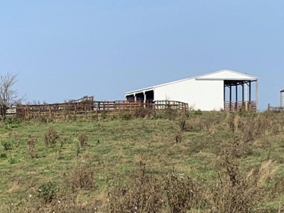 Farm For Sale - image 21