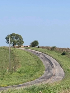 Farm For Sale - image 34