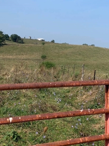 Farm For Sale - image 15