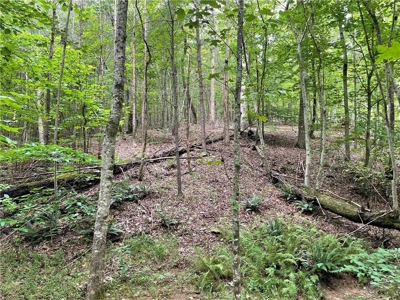 Highly sought after land in North Georgia Mountains - image 13