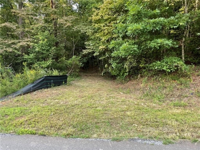 Highly sought after land in North Georgia Mountains - image 4