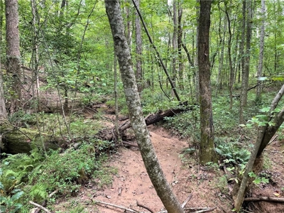 Highly sought after land in North Georgia Mountains - image 14