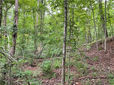 Highly sought after land in North Georgia Mountains - image 7