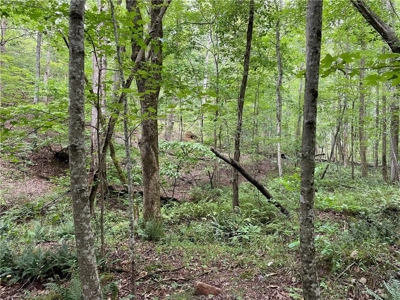 Highly sought after land in North Georgia Mountains - image 11