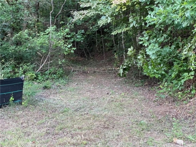 Highly sought after land in North Georgia Mountains - image 5