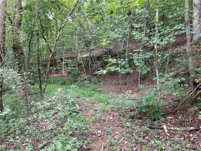 Highly sought after land in North Georgia Mountains - image 6