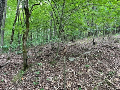 Highly sought after land in North Georgia Mountains - image 9