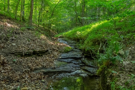 Land For Sale in Santa Fe Tennessee - image 15