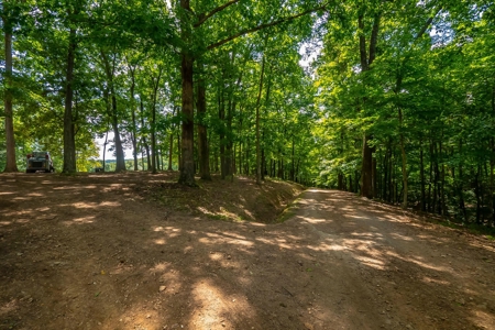 Land For Sale in Santa Fe Tennessee - image 23