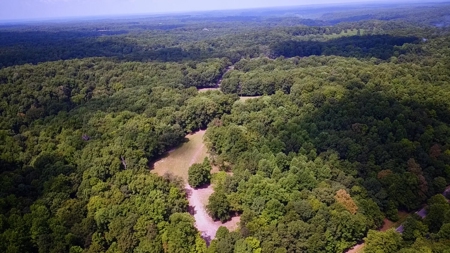 Land For Sale in Santa Fe Tennessee - image 24
