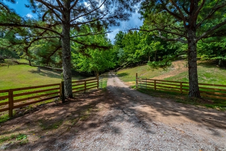 Land For Sale in Santa Fe Tennessee - image 5