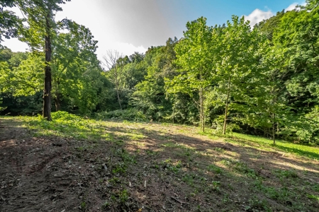 Land For Sale in Santa Fe Tennessee - image 13
