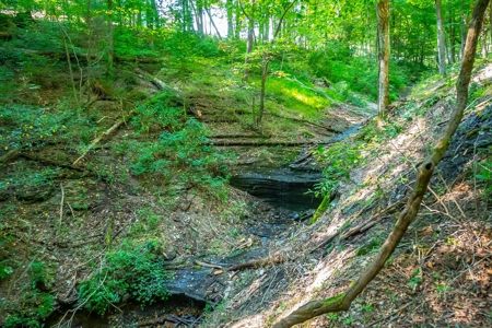 Land For Sale in Santa Fe Tennessee - image 10
