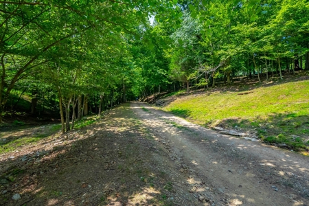 Land For Sale in Santa Fe Tennessee - image 8