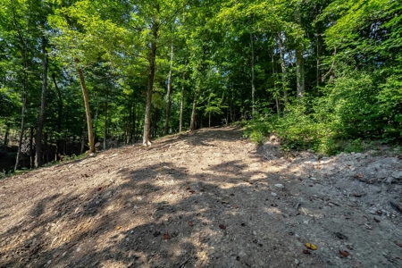 Land For Sale in Santa Fe Tennessee - image 11