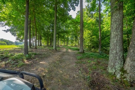 Land For Sale in Santa Fe Tennessee - image 20