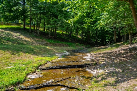 Land For Sale in Santa Fe Tennessee - image 7