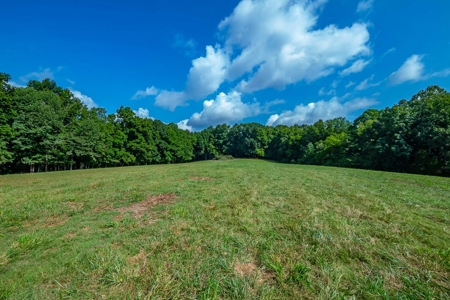 Land For Sale in Santa Fe Tennessee - image 18