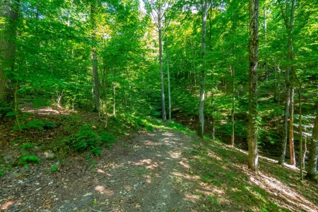Land For Sale in Santa Fe Tennessee - image 12