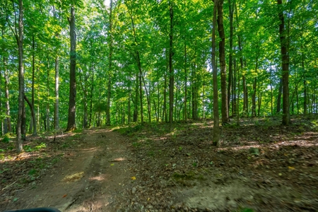 Land For Sale in Santa Fe Tennessee - image 22