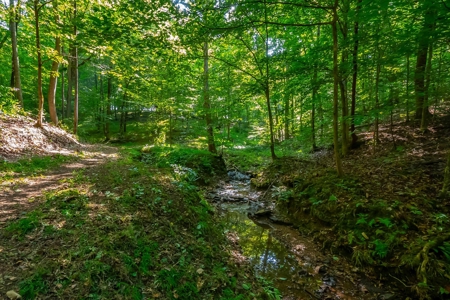 Land For Sale in Santa Fe Tennessee - image 14