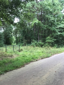 Timberland Investment Property - image 18