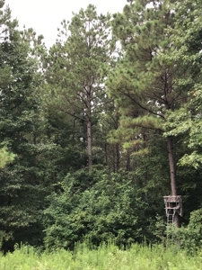 Timberland Investment Property - image 9