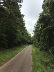 Timberland Investment Property - image 3