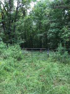 Timberland Investment Property - image 14