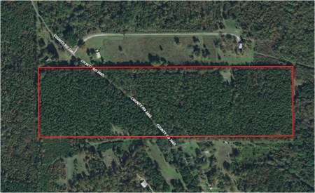 Timberland Investment Property - image 1