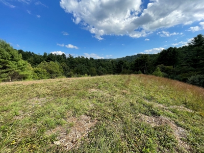 Land for Sale in Pilot VA - image 1