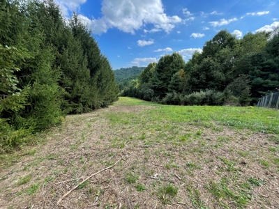 Land for Sale in Pilot VA - image 16