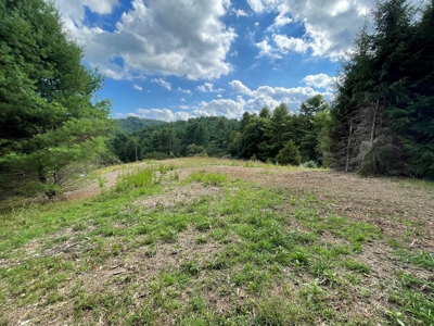 Land for Sale in Pilot VA - image 9
