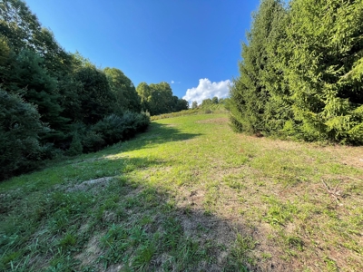 Land for Sale in Pilot VA - image 18