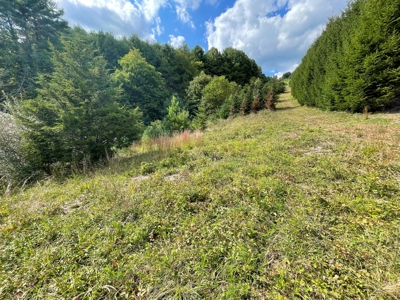Land for Sale in Pilot VA - image 6