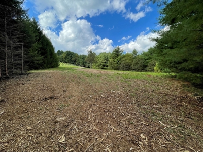 Land for Sale in Pilot VA - image 11