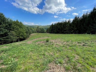 Land for Sale in Pilot VA - image 14