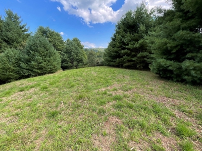 Land for Sale in Pilot VA - image 12