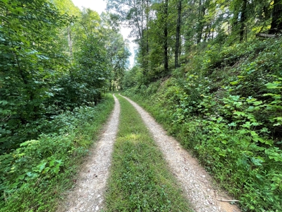 Land for Sale in Pilot VA - image 3