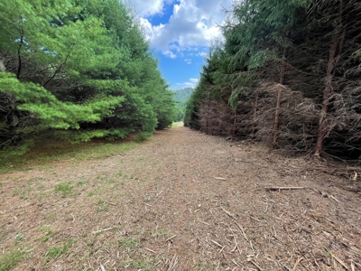 Land for Sale in Pilot VA - image 10