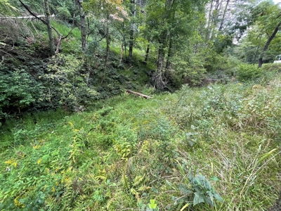 Land for Sale in Pilot VA - image 2
