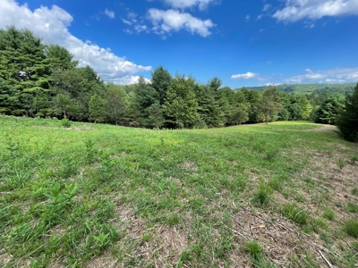 Land for Sale in Pilot VA - image 15