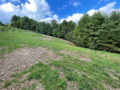Land for Sale in Pilot VA - image 13